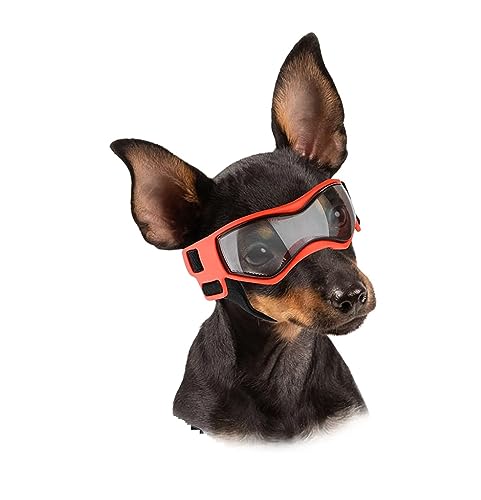 Interessante Haustierhut, Hundebrille, Sonnenbrille für kleine Rassen, Brillen für kleine Hunde, Welpen, Outdoor-Reiten, Fahren, Katzen- und Hundebekleidung (Farbe: S, Orange) von HOOBN