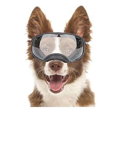 Interessante Haustierhut, Hundebrille, große Rassen, Hunde-Sonnenbrille für große Hunde, klare Brille für mittelgroße Hunde, Outdoor-Katzen- und Hundebekleidung (Farbe: Schwarz) von HOOBN