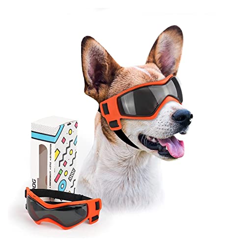 Interessante Haustiermütze, Hundehelm und Brille: Schutz für Hunde, Sonnenbrille, Haustierhut, Motorradhelme, passend für Welpen, Reiten, Katzen und Hundebekleidung (Farbe: M Brille-1) von HOOBN