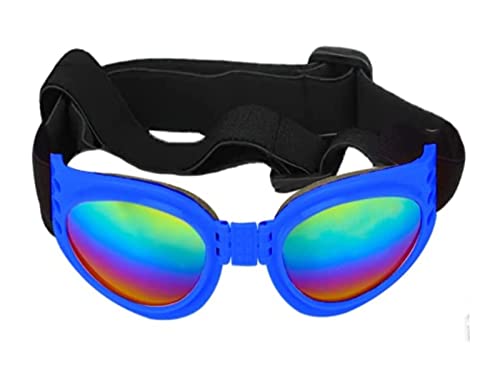 Interessanter Haustierhut, Hundehelm und Brille, Welpen-Sonnenbrille, Schutz, PET-Helm mit niedlichem Propeller, passend für Hundebrille, Radfahren, Reiten, Katzen- und Hundebekleidung (Farbe von HOOBN