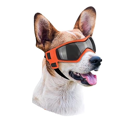 Interessanter Haustierhut, Hundesonnenbrille, Haustierhelm-et Set mit Schutzbrille, Staub, Wind, Hundebrille, Hundehelm und Schutzbrille, Hundekleidung für Hunde, Katzen und Hunde (Farbe: M, Rot von HOOBN