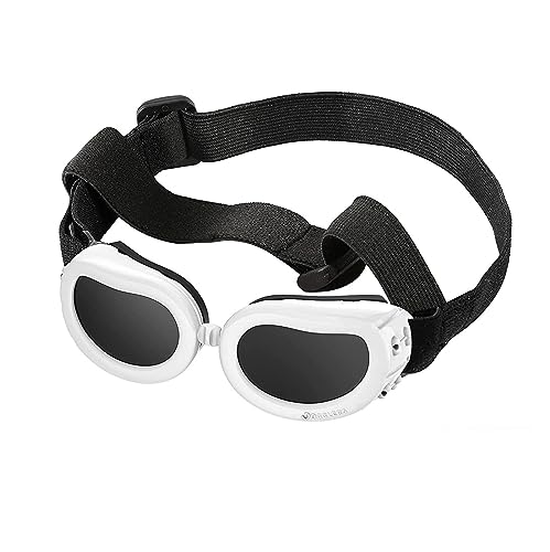 Interessantes Haustiermütze, Haustier-Hundehelm und -Brille, gepolsterter Motorradhelm und Hundesonnenbrille, Haustierkappe und entzückende Haustierbrille, Katzen- und Hundebekleidung (Farbe von HOOBN