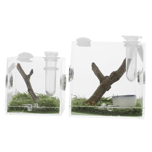 HOODANCOS 2 Stück Acryl Springspinne Aufzuchtbox Transparent mit Belüftung Insekten Futterbox für Spinnen Grillen Schnecken und Kleine Reptilien Beobachtungsbox für Haustierhaltung und HOODANCOS 2 Stück Acryl Springspinne Aufzuchtbox Transparent mit Belüftung Insekten Futterbox für Spinnen Grillen Schnecken und Kleine Reptilien Beobachtungsbox für Haustierhaltung und von HOODANCOS