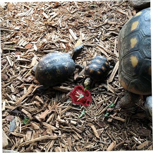 HOODANCOS 2 Stück Teiliges Reptilien Wassernapf aus Resin Stabiles Futter Trinkschälchen für Schildkröten Schlangen Eidechsen und Kleine Reptilien Auslaufsicher und Leicht zu Reinigen von HOODANCOS