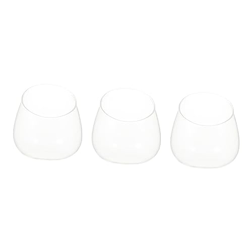 HOODANCOS 3 Stück schräge Glasflasche saftiges Terrarium Landschaft Terrarium Aquarium Schüsseln groß UV bescherung Weihnachten weinachtsgeschenk terrarien Dekorbehälter Fischbecken aus Glas von HOODANCOS