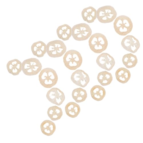 HOODANCOS 40 Stück Teiliges Natürliches Luffa kauspielzeug für Kleine Haustiere Sicher für Hamster Kaninchen Meerschweinchen Fördert Zahnpflege Beschäftigung und Mundhygiene Leicht und von HOODANCOS