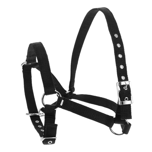 HOODANCOS Halfter Set Verstellbares Nylon Halfter mit Seil Gepolstert für Training und Wettkampf Langlebig und Vielseitig für Optimale und HOODANCOS Halfter Set Verstellbares Nylon Halfter mit Seil Gepolstert für Training und Wettkampf Langlebig und Vielseitig für Optimale und von HOODANCOS