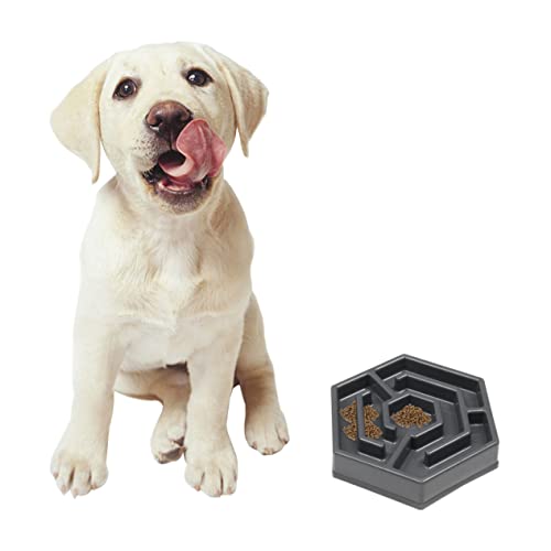 HOODANCOS Kreative Petal Futterschale aus Strapazierfähigem Harz rutschfest mit Rutsch Pads Flache Schüssel für Katzen und Kleine Hunde Langsames Fressen Fördernd HOODANCOS Kreative Petal Futterschale aus Strapazierfähigem Harz rutschfest mit Rutsch Pads Flache Schüssel für Katzen und Kleine Hunde Langsames Fressen Fördernd von HOODANCOS