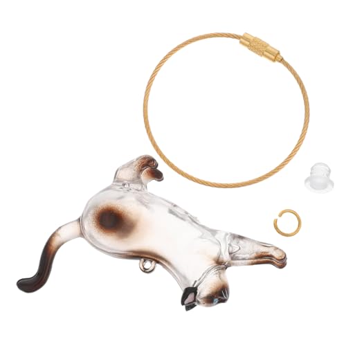 HOODANCOS Transparente Katzenhaar-aufbewahrungsbox Schlüsselanhänger Kawaii Kapsel für Haustierhaare Whisker Keepsake Organizer Praktisch für Katzenliebhaber Geschenkidee von HOODANCOS