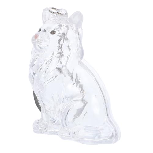HOODANCOS Transparente Katzenhaar-aufbewahrungsbox als Schlüsselanhänger Pet Memorial Capsule Vielseitiger Haustier-Souvenir-behälter für Reisen Büro und Zuhause von HOODANCOS
