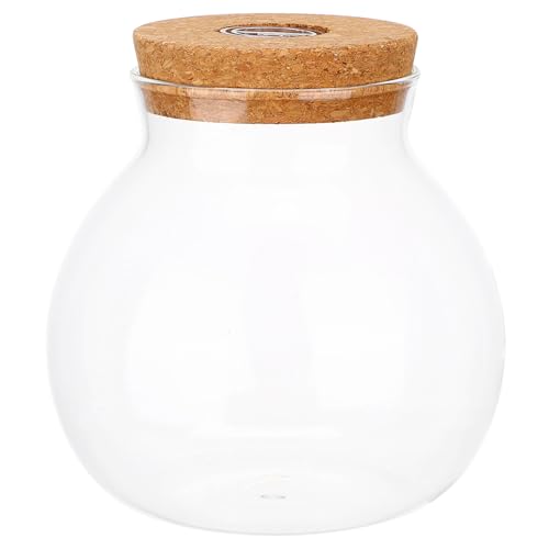 HOODANCOS Transparente Micro landschaftsflasche mit LED licht Glatte Oberfläche Einfach zu Reinigen Vielseitig für DIY mikrolandschaften und Fischhaltung Dekoratives Glas für Zuhause und von HOODANCOS