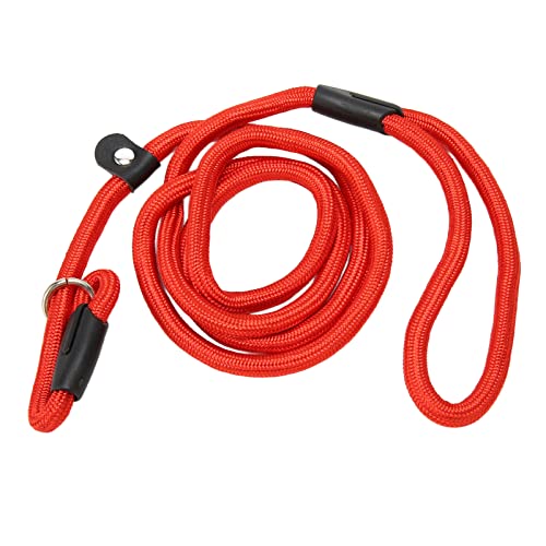 Hooleey Hundeschlaufenleine, superweiches, geflochtenes Nylon, robuste Hundeseilleine für Hunde, Welpen, im Freien (Red) von HOOLEEY