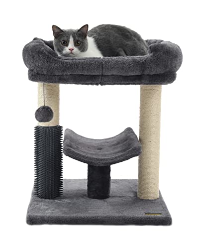 Hoopet Kratzbaum für Katzen im Innenbereich, mit super gemütlicher Sitzstange, Katzenpflege und interaktivem baumelndem Ball, ideal für Kätzchen und Katzen Hoopet Kratzbaum für Katzen im Innenbereich, mit super gemütlicher Sitzstange, Katzenpflege und interaktivem baumelndem Ball, ideal für Kätzchen und Katzen von HOOPET
