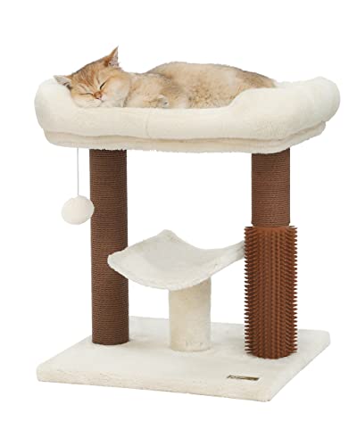 Hoopet Kratzbaum für Indoor-Katzen, mit super gemütlicher Sitzstange, Katzen-Selbstpfleger und interaktivem baumelnden Ball, ideal für Kätzchen und Katzen von HOOPET