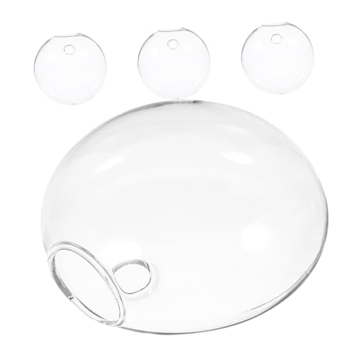 HOOTNEE 4 Stück Hydrokultur Pflanzenglasflaschen, Glasterrarien Für Pflanzen, Wand Für Zimmerpflanzen, Glaspflanzenflaschen, Hydrokultur Blumenhalter, Hydrokulturvase, Glaspflanzgefäß, von HOOTNEE