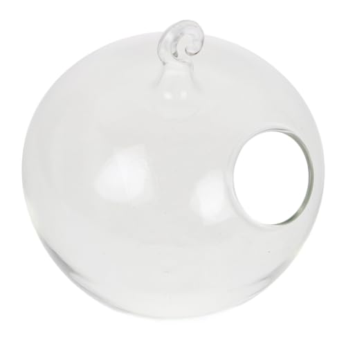 HOOTNEE Apfelförmiges Aquarium, Glas Fischglas, Ornament, Ausstellungsständer, Hängendes Aquarium, Mini Aquarium, Durchsichtiges Aquarium, Fischglas Mit Ständer, Desktop Terrarium, Mini von HOOTNEE