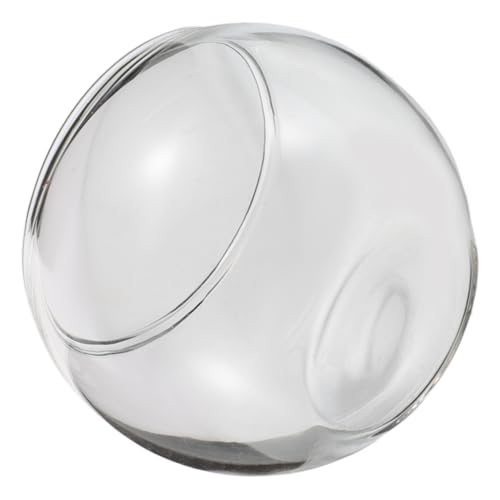 HOOTNEE Mini-Aquarium Aus Glas Für Puppenhaus Transparente Schale Kleine Dekoration Landschaftsflasche Mit Moos Miniatur-Ornament Betta-Aquarium-Modell HOOTNEE Mini-Aquarium Aus Glas Für Puppenhaus Transparente Schale Kleine Dekoration Landschaftsflasche Mit Moos Miniatur-Ornament Betta-Aquarium-Modell von HOOTNEE