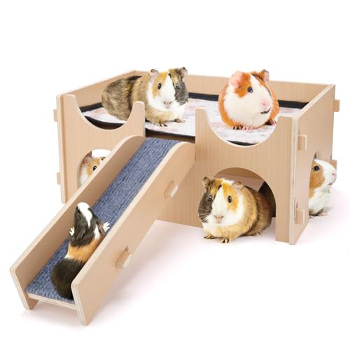 Meerschweinchen Versteck Holz, Meerschweinchen Holz Versteck Meerschweinchen Haus mit Rampe Meerschweinchen Schloss für Häschen Hamster Chinchillas Spielen Verstecken Meerschweinchen Versteck Holz, Meerschweinchen Holz Versteck Meerschweinchen Haus mit Rampe Meerschweinchen Schloss für Häschen Hamster Chinchillas Spielen Verstecken von HOOTO