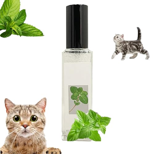 HOPASRISEE Herbal Cat Joy, Catnip Spray for Indoor Cats, Catnip Spray for Cats, Cat Training Spray with Catnip, Cat Scratching Spray Mist, Transparent Cat & Kitten Behaviour Spray (1) von HOPASRISEE