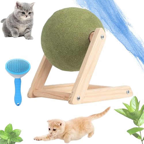 HOPASRISEE Katzenminze-Bodenballspielzeug, Katzenminze Balls Spielzeug für Katze, Katzenminzball, drehbare Katzenminze-Rollerball-Bodenhalterung, Catnip Balls Toys für Katze (Large 15CM) von HOPASRISEE