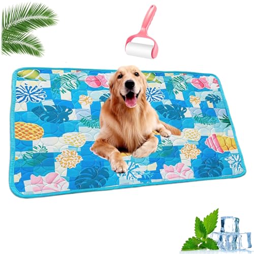 HOPASRISEE Nordseepfote KüHlmatte, KüHlmatte Hund SelbstküHlend, Sommer KüHlkissen rutschfeste KüHldecke, Katzen, Hunde und Kaninchen KöNnen Verwendet Werden(A,100 * 70cm) von HOPASRISEE