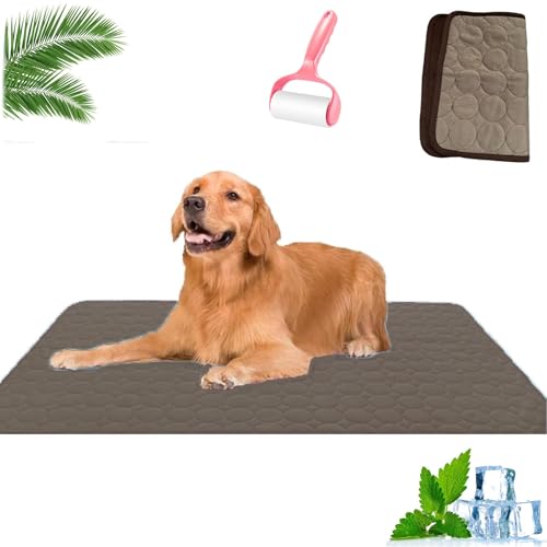 HOPASRISEE Nordseepfote KüHlmatte, KüHlmatte Hund SelbstküHlend, Sommer KüHlkissen rutschfeste KüHldecke, Katzen, Hunde und Kaninchen KöNnen Verwendet Werden(C,100 * 70cm) von HOPASRISEE