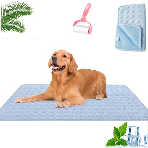 HOPASRISEE Nordseepfote KüHlmatte, KüHlmatte Hund SelbstküHlend, Sommer KüHlkissen rutschfeste KüHldecke, Katzen, Hunde und Kaninchen KöNnen Verwendet Werden(F,150 * 100cm) von HOPASRISEE