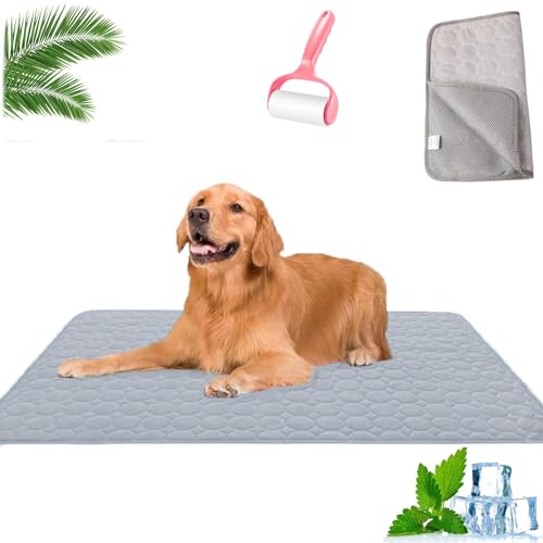 HOPASRISEE Nordseepfote KüHlmatte, KüHlmatte Hund SelbstküHlend, Sommer KüHlkissen rutschfeste KüHldecke, Katzen, Hunde und Kaninchen KöNnen Verwendet Werden(G,70 * 55cm) von HOPASRISEE