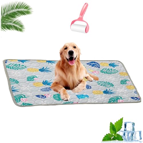 HOPASRISEE Nordseepfote KüHlmatte, KüHlmatte Hund SelbstküHlend, Sommer KüHlkissen rutschfeste KüHldecke, Katzen, Hunde und Kaninchen KöNnen Verwendet Werden(H,70 * 55cm) von HOPASRISEE