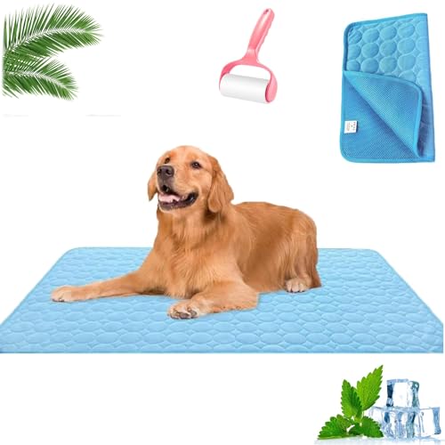 HOPASRISEE Nordseepfote KüHlmatte, KüHlmatte Hund SelbstküHlend, Sommer KüHlkissen rutschfeste KüHldecke, Katzen, Hunde und Kaninchen KöNnen Verwendet Werden(J,100 * 70cm) von HOPASRISEE