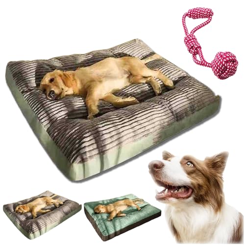 HOPASRISEE Orthocloud Pro OrthopäDisches Hundebett, Memory Foam Hundekorb MittelgroßE Hunde, Waschbar rutschfest Hundebetten, Beruhigt Bei Angst & Reizen Hunde Matratze (1PC-B,XL) von HOPASRISEE