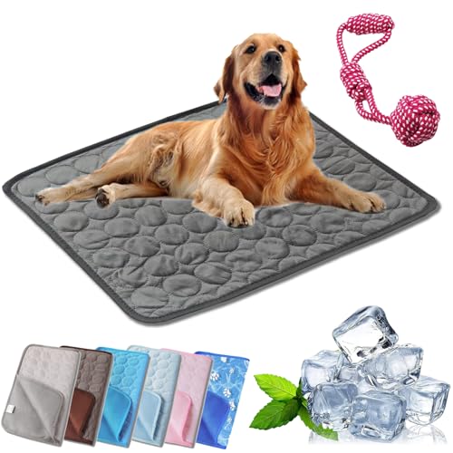 HOPASRISEE Tierliebling Hundekuhlmatte, Eisseide Cooling Mat Hundekühlmatte, Comfortable Summer Cool Pads Pet Mat Outdoor for Dogs & Cats, Ideal for Indoor Outdoor Use (1PC-B,XS-30 * 40CM) von HOPASRISEE