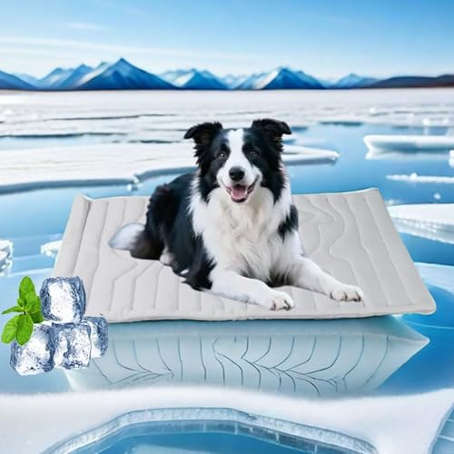 Pfotenchill - Die Innovative Kühlmatte Für Hunde, 2025 Pfotenchill kühlmatte hund, Pfotenchill matte Aus Kühlgewebe Wendbar, selbstkühlend kühlbett Ideal für zu Hause, Reisen und Auto (M(91 x 58 cm)) von HOPASRISEE