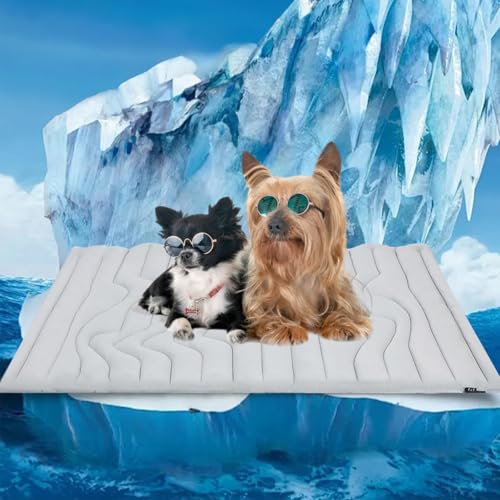 Pfotenchill - Die Innovative Kühlmatte Für Hunde, KüHlmatte Hund SelbstküHlend, Kühlmatte Hund Aus Kühlgewebe Wendbar, Sicher Und Komfortabel Haustierkühlmatte und Decke für Katzen, Hunde(M) von HOPASRISEE