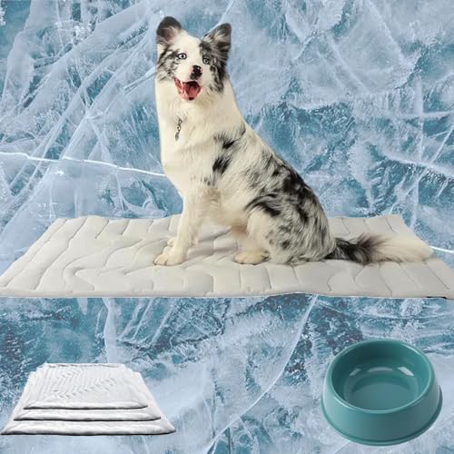 Pfotenchill Kühlmatte Hund, Pfotenchill - Die Innovative Kühlmatte Für Hunde, Doppelseitiger Kühlstoff, Maschinenwaschbar, Selbstkühlendes Kühlbett Für Drinnen, Draußen Und Auto (L(122 x 71 cm)) von HOPASRISEE