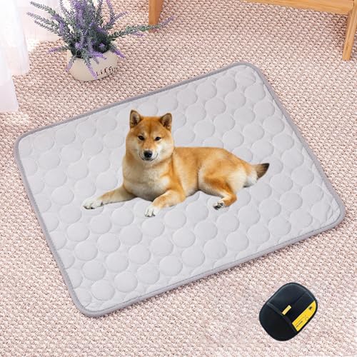 Premium KüHlmatte füR Hunde, Cooling Mat Dog, KüHlmatte Hund SelbstküHlend Ohne Gel, Doppelseitig KüHlend, Maschinenwaschbar, füR Den Einsatz Zu Hause und Unterwegs Geeignet(Grau,XXL (150 x 100 cm)) Premium KüHlmatte füR Hunde, Cooling Mat Dog, KüHlmatte Hund SelbstküHlend Ohne Gel, Doppelseitig KüHlend, Maschinenwaschbar, füR Den Einsatz Zu Hause und Unterwegs Geeignet(Grau,XXL (150 x 100 cm)) von HOPASRISEE
