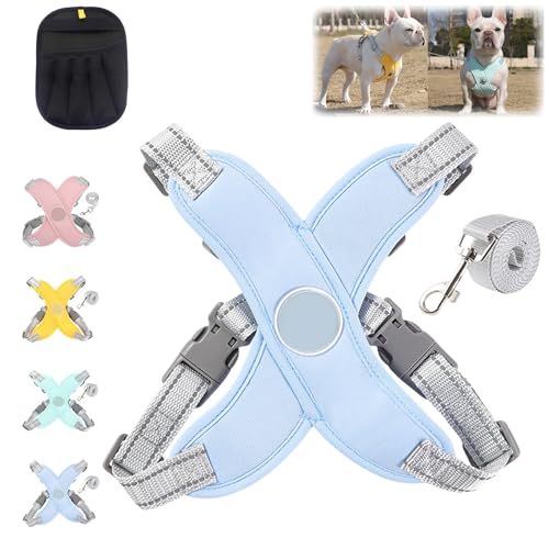 Weiches Hundegeschirr mit Anti-Zug-Komfort, No Pull Dog Harness with Rope, Einstellbar Hundegeschirr Kleine Hunde für Kleine und Mittelgroße Hunde, Nachtreflektierend, Bequemes Wickeln(Blau,M) von HOPASRISEE