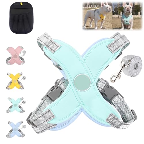 Weiches Hundegeschirr mit Anti-Zug-Komfort, No Pull Dog Harness with Rope, Einstellbar Hundegeschirr Kleine Hunde für Kleine und Mittelgroße Hunde, Nachtreflektierend, Bequemes Wickeln(Grun,M) von HOPASRISEE