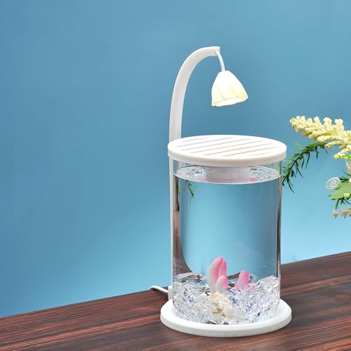 Hopeyhfm Nano-Fischtank-Aquarium, Aquarium Starter Set, Nano-Glas-Aquarium mit Filter, Tag & Nachtlicht LED-Beleuchtung, Süßwasser Aquarium, für DIY kleines Betta-Fischbecken Dekoration (Stil 2) von HOPEYHFM