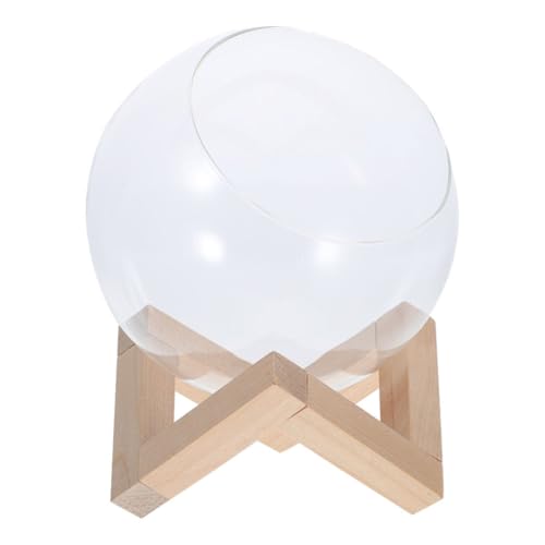 HORIALENCE 1 Set Glasterrarium Mit Holzständer Hydrokultur-Pflanzgefäß Für Sukkulenten Einzigartiger Mikrolandschafts-Glasbehälter Desktop-Anzuchtvase Für Pflanzen von HORIALENCE