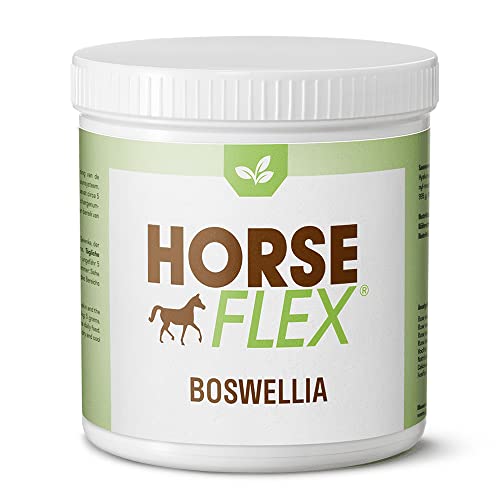 HORSE FLEX Boswellia Pulver für Pferde zur Unterstützung der Gelenke, der Haut und des Magen-/Darmkanals und des gesamten Immunsystems - 1500 Gramm von HORSE FLEX