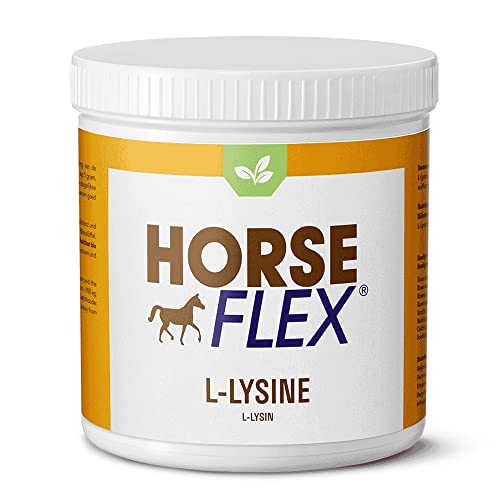 HORSE FLEX L-Lysin Pulver für Pferde zur Unterstützung der Resistenz und des ganzen Immunsystems - 1000 Gramm von HORSE FLEX