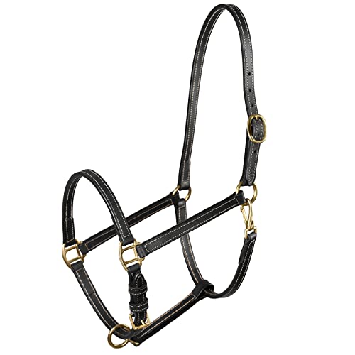 HORZE Fremont Lederhalfter, Schwarz, C von HORZE