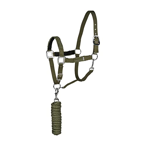HORZE Halfter Chicago für Pferd und Pony, verstellbar mit Führstrick 2,25m, Grün, XF HORZE Halfter Chicago für Pferd und Pony, verstellbar mit Führstrick 2,25m, Grün, XF von HORZE