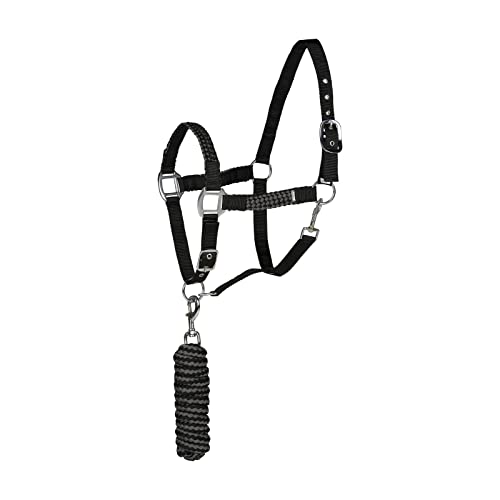 HORZE Halfter Chicago für Pferd und Pony, verstellbar mit Führstrick 2,25m, Schwarz, C HORZE Halfter Chicago für Pferd und Pony, verstellbar mit Führstrick 2,25m, Schwarz, C von HORZE