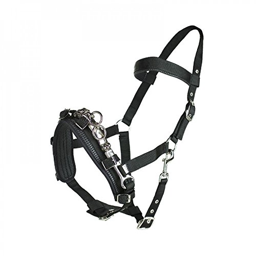 HORZE Kappzaum Robustes Nylon, Schwarz, F von HORZE