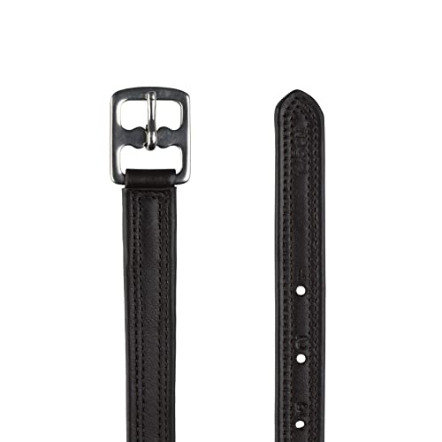 HORZE Steigbügelriemen mit Nylon, Braun, 110 HORZE Steigbügelriemen mit Nylon, Braun, 110 von HORZE