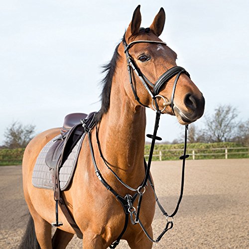 HORZE verstellbares Hunter Vorderzeug, Schwarz, C von HORZE