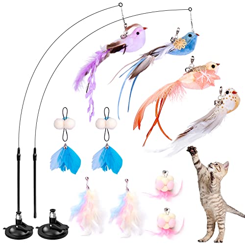 HOSFROLL Katzenspielzeug-Set – Interaktiver Vogelsimulationsstab mit Saugnapf, 10 Nachfüll-Teaser mit natürlichen Federn und Glocken – Haustierspielzeug für Indoor-Katzen HOSFROLL Katzenspielzeug-Set – Interaktiver Vogelsimulationsstab mit Saugnapf, 10 Nachfüll-Teaser mit natürlichen Federn und Glocken – Haustierspielzeug für Indoor-Katzen von HOSFROLL