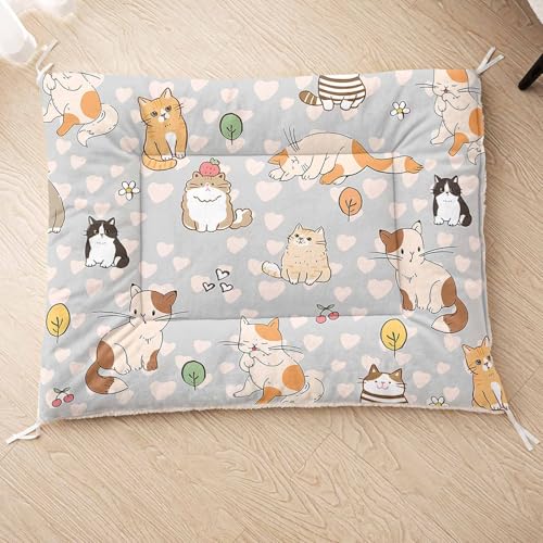 HOSIMA Hundebett, Haustiermatte Hundematte mit Cartoon-Aufdruck, Weiche Waschbare Katzenmatte, Unterseite aus Lammfell kann an Haustierbett Gebunden Werden (AB041 M) von HOSIMA